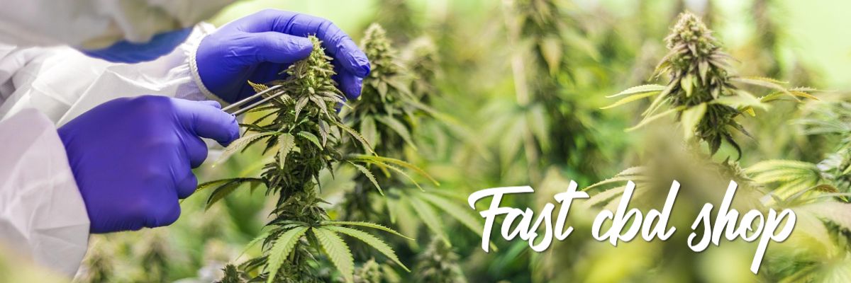 fast-cbd.shop